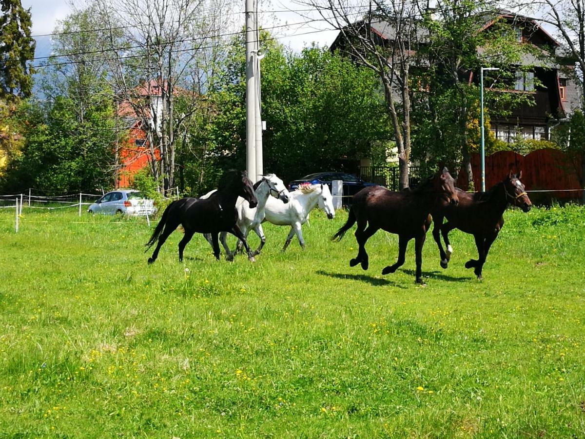 Penzion Monty Ranch Vysoke Tatry Stola Hotel Kültér fotó